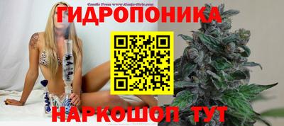 MDMA Дубна