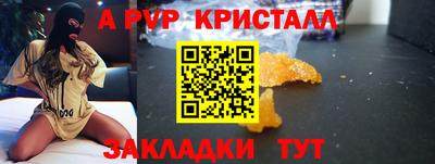 стафф Донской