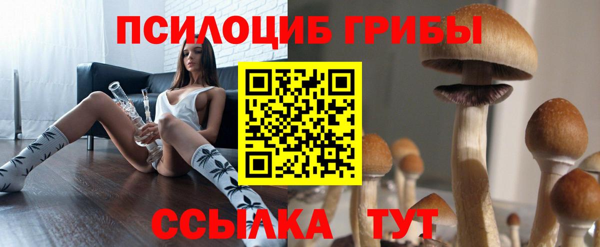 Галлюциногенные грибы Magic Shrooms  Вход с VPN  Галлюциногенные грибы Magic Shrooms  Родники 