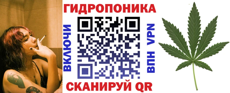 купить закладку  ссылка на мегу ССЫЛКА  Каннабис план  Родники 